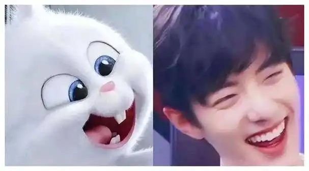 原创这5位男星撞脸动物惊呆肖战王一博孙红雷见笑不活