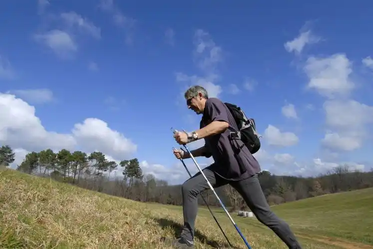 走路是老年人最适合的运动之一掌握5个要点合理锻炼更健康