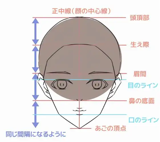 头的形状以圆为基准,发际以线为基准画线.