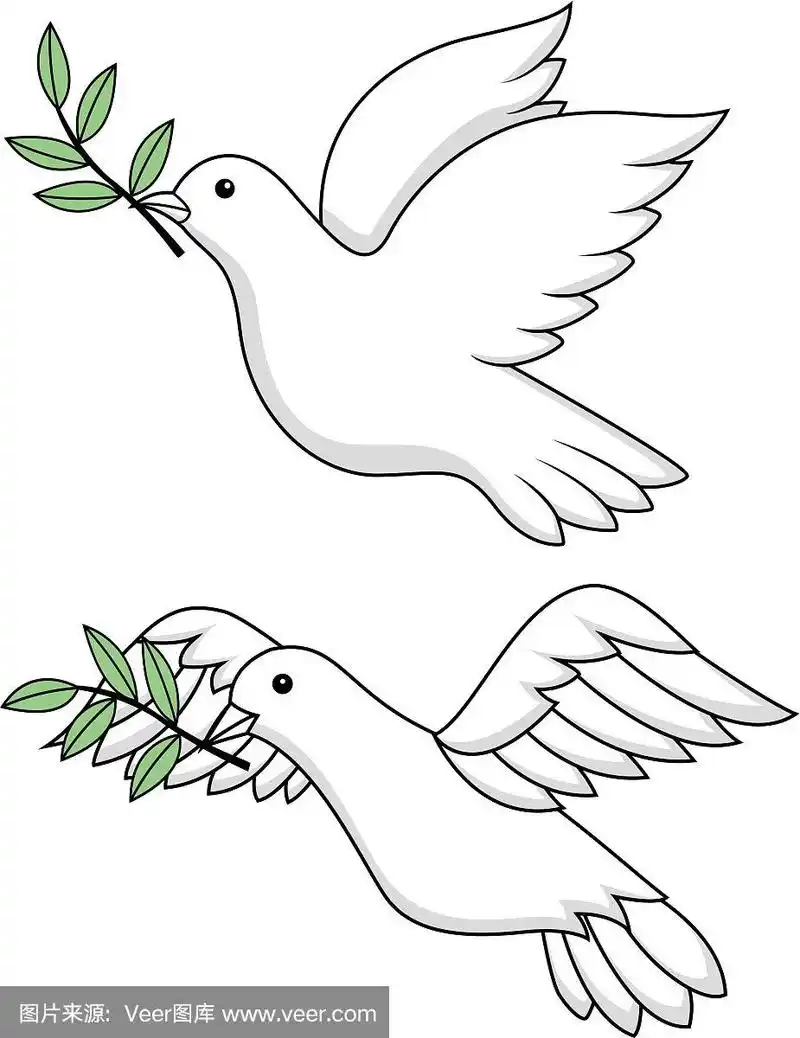 白色的鸽子象征