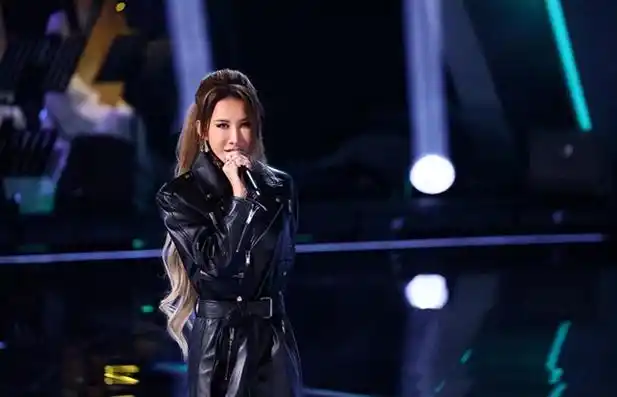 浙江卫视:《中国好声音》暂停播出 问题正在调查