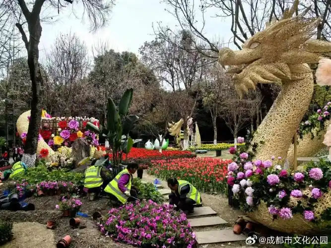 成都花会距今已有千余年历史,今年花展,文化公园不仅有特色花卉展出
