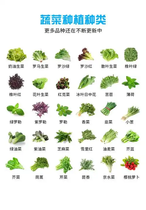 蔬菜种植种类.jpg