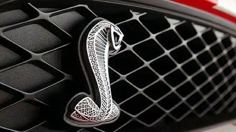 路上不能惹的这些特殊车标,能避开就避开,能离远点就离远点!