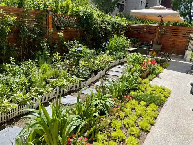 50平米一楼小院改造