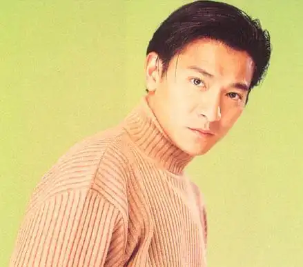 天王刘德华年轻时的老照片,华仔当年青涩帅气的模样