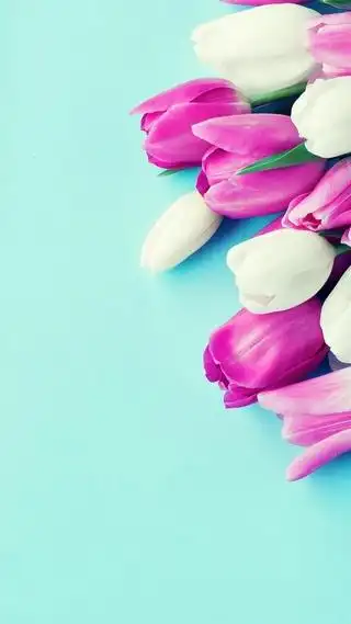 4k背景图片4k001234567803缤纷多彩微信全局背景缤纷多彩缤纷多彩