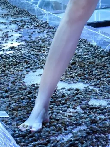 模特选手被要求赤脚走过面前这条「t台」,当她们看清楚「t台上面的东