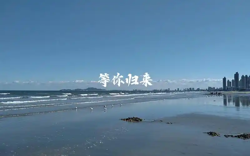 《等你归来》 烟台 天马栈桥