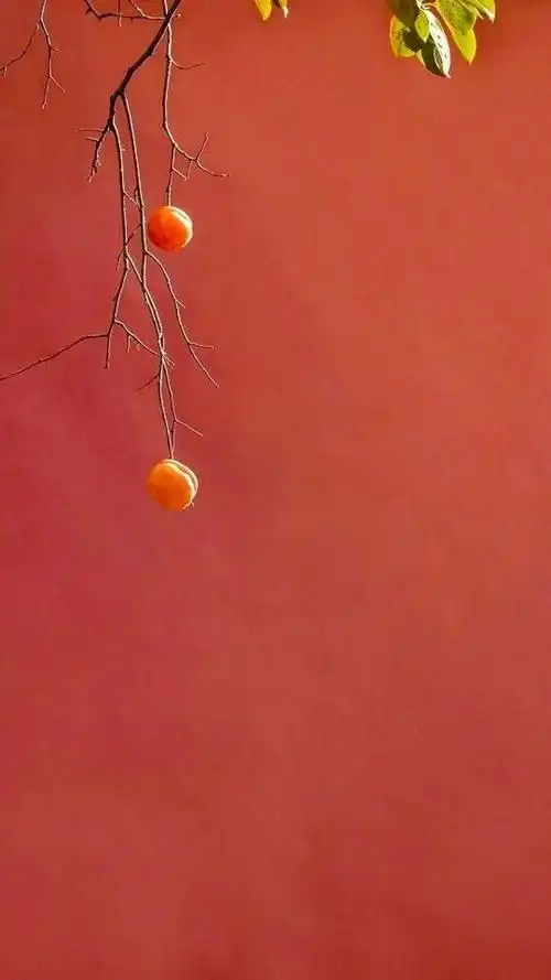 紫禁城的红墙唯美摄影高清壁纸