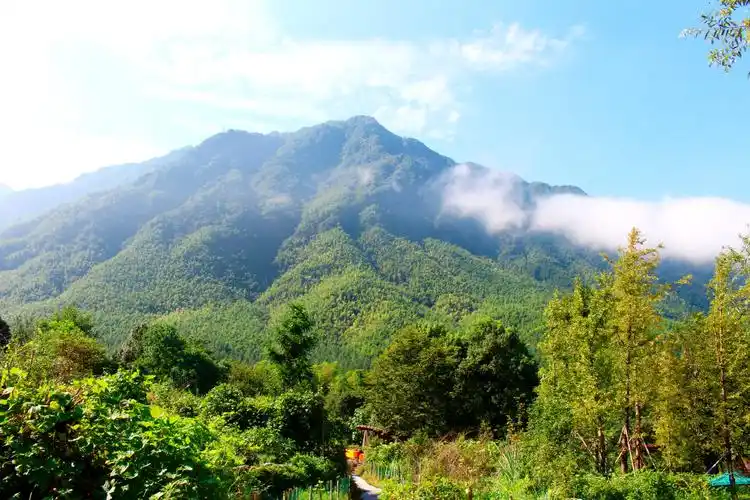 江西明月山风光