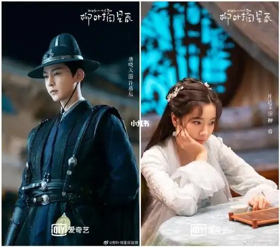 电视剧《柳叶摘星辰》今日发布概念海报,该剧由赵锦焘 执导,由唐晓天