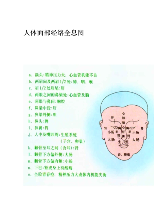 人体面部经络全息图.doc