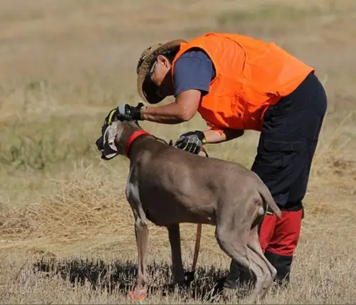 fall fun at quail run sports, sept. 26