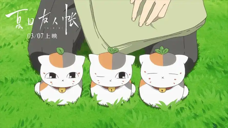 可爱的猫咪老师800x600分辨率下载,可爱的猫咪老师,剧照图片,高清壁纸