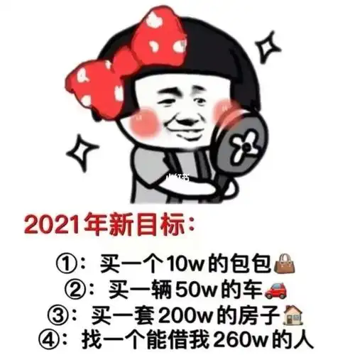 2021新年目标(第四才是重点)1:买一个10w的包包2:买一辆50w的车3:买一
