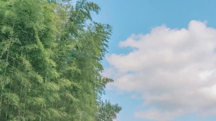 壁纸图片小清新绿色三明龙栖山景色-风景壁纸 - 壁纸之家