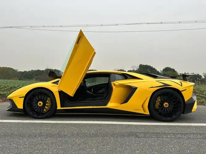 都开兰博基尼大牛了为什么要改