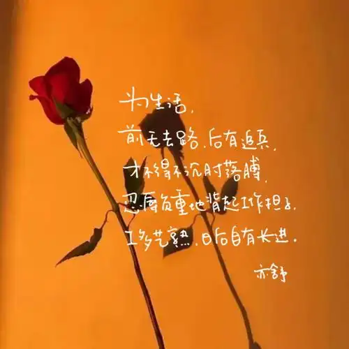 文字壁纸文案源亦舒语录