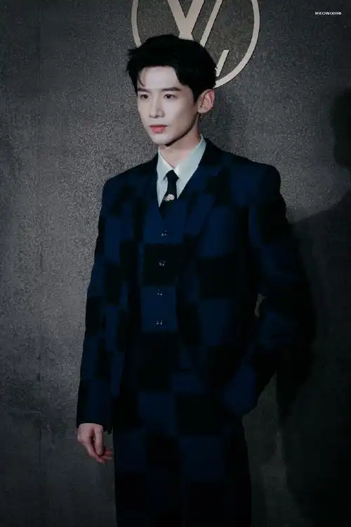 白敬亭蓝黑格纹西装