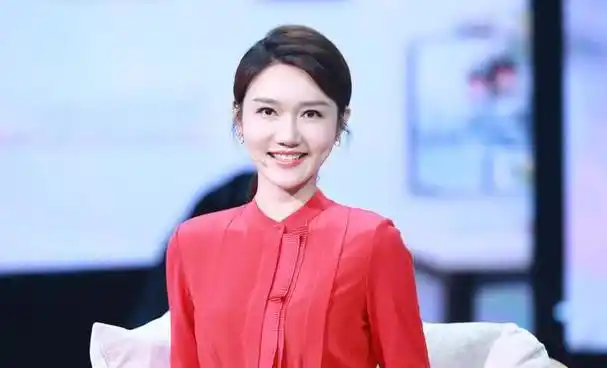 代表综合频道主持大型活动|舒冬|春晚|龙洋(主持人)|中国中央电视台