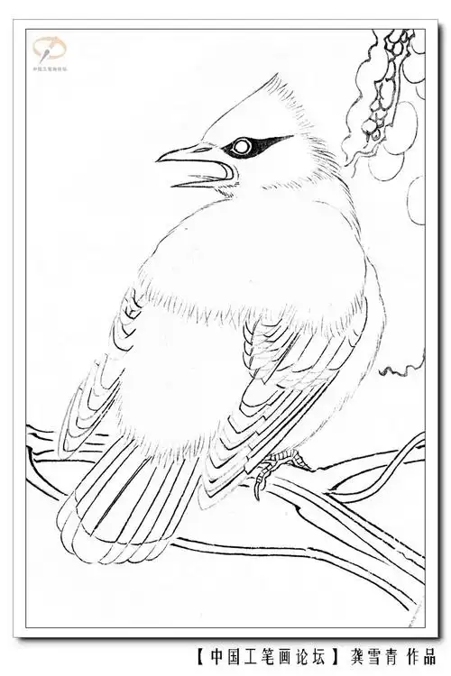 【李晓明的工笔画】本站是提供个人知识管理的网络存储空间,所有内容