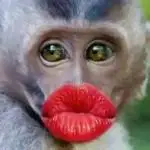 香香的亲亲表情包 - 香香的亲亲微信表情包 - 香香的亲亲qq表情包