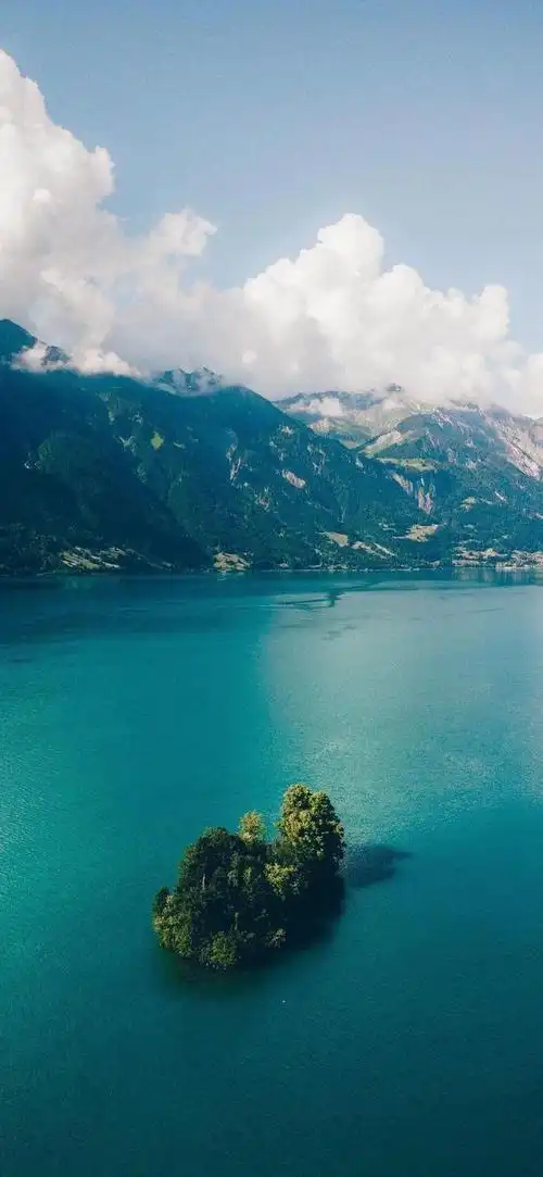 一组超养眼的壁纸