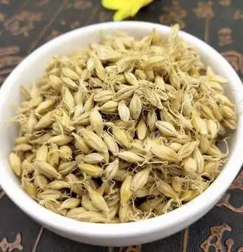 麦芽中药材天然野生纯新货大麦芽生麦芽麦芽