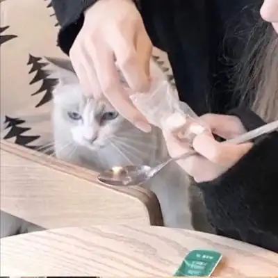 高清可爱另一半不是人的情侣头像图