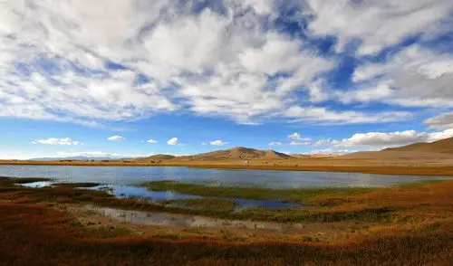 阿里无人区-草原湿地