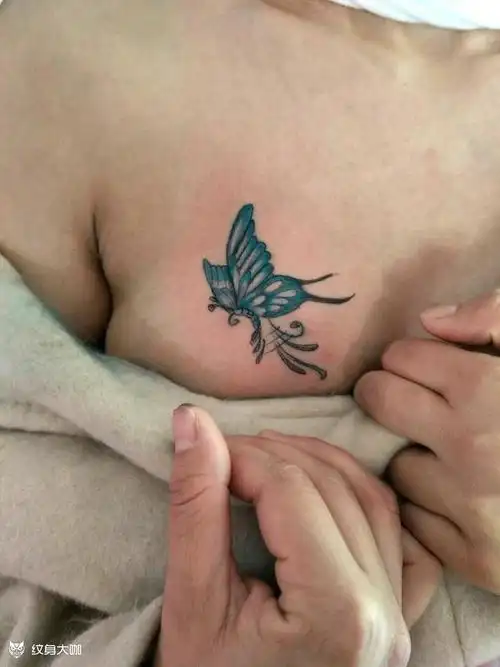 胸口蝴蝶_纹身图案手稿图片_周溪的纹身作品集