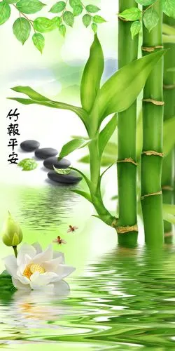 壁纸鹅卵石倒影竹子翠竹玄关门厅隔断时尚珍寿静清新淡雅荷叶石头绿色