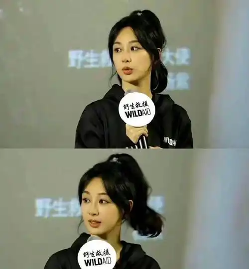 杨紫恋情风波后首现身,一身黑衣似闷闷不乐,被指和迪丽热巴撞型_网友