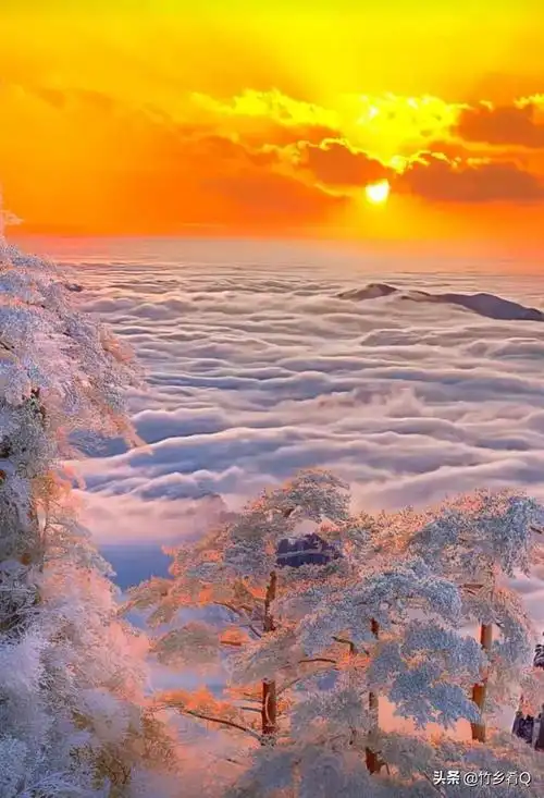 霜冻后的雾凇美景奇观