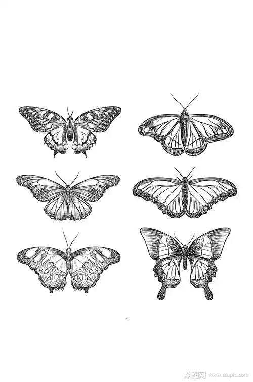 精品手绘蝴蝶元素设计