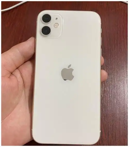 网友花4000买iphone11结果是这样