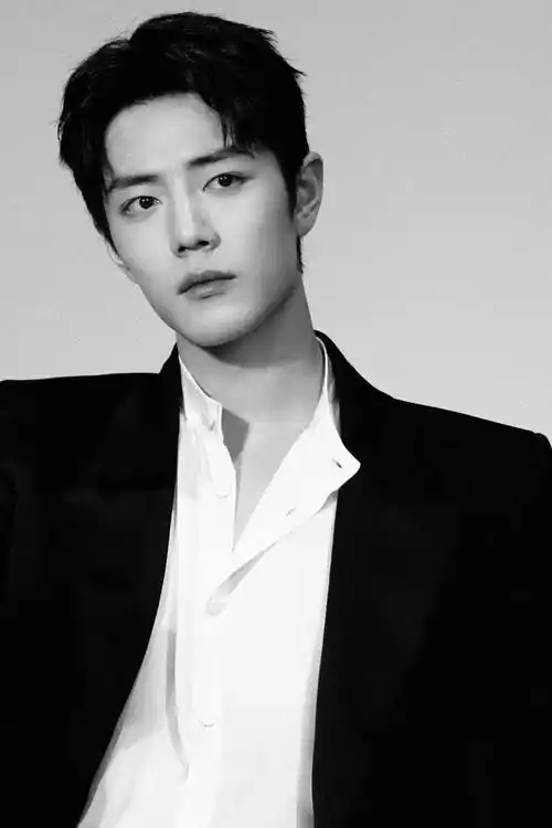 肖战的眼睛是十分罕见的瑞凤眼,笑起来柔和,不笑的时候有威严,有媚