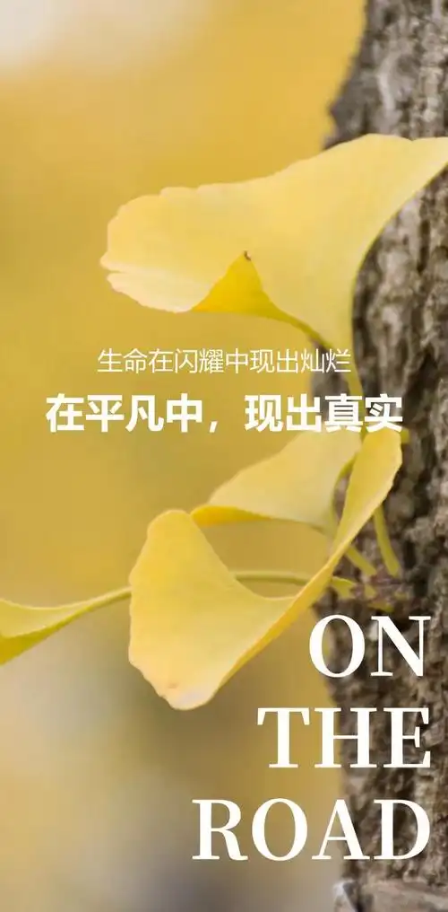 积极阳光正能量的简短句子图片简单快乐的心态句子