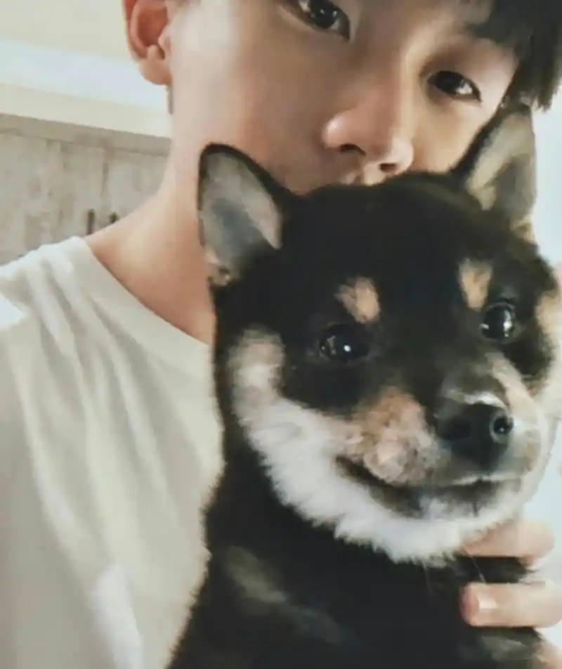 马嘉祺/宋亚轩/张真源 中戏1932都有自己的狗了,六斤是儿子,鼠标是