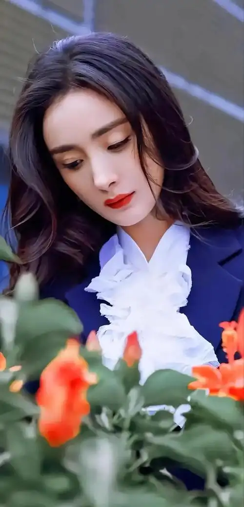 神仙图片,神仙美图(杨幂适合做壁纸的神仙美图)