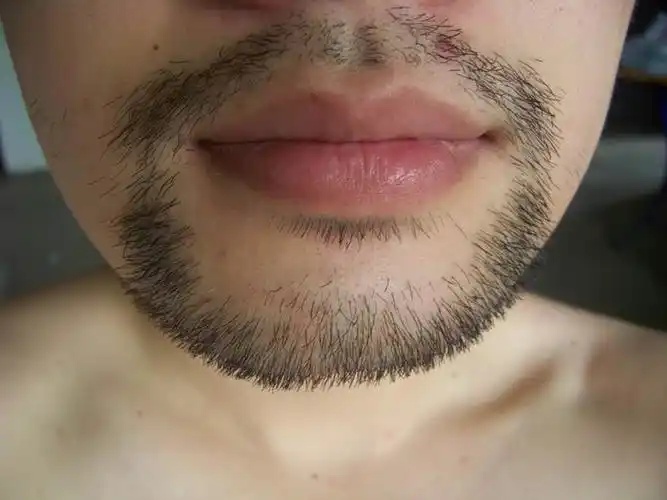 软件未发布之前, 不剃胡须, 看有多长