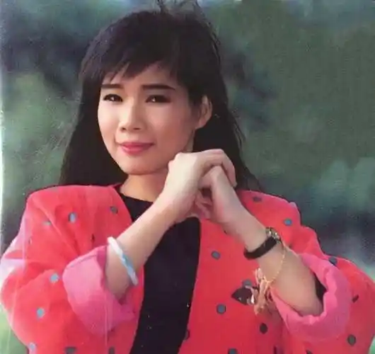 凭《粉红色的回忆》爆红,28岁嫁给粉丝,韩宝仪为何销声匿迹了?