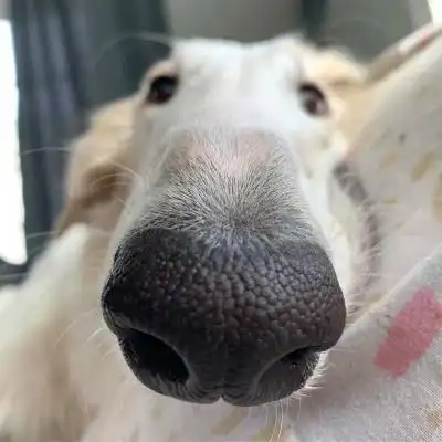 头像图片2023最火爆沙雕