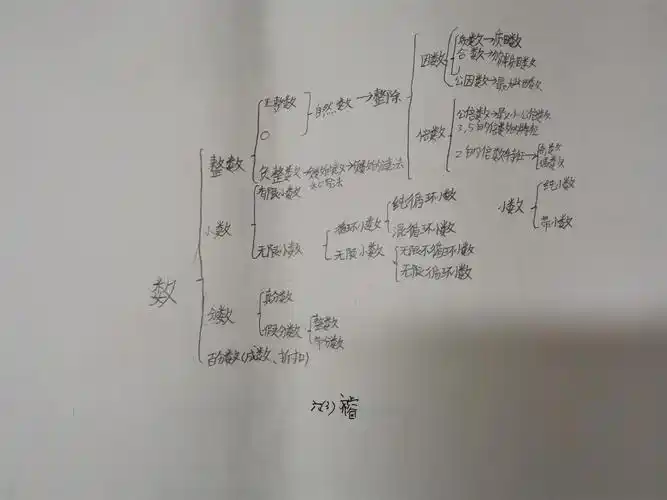 63班《数与代数》优秀思维导图