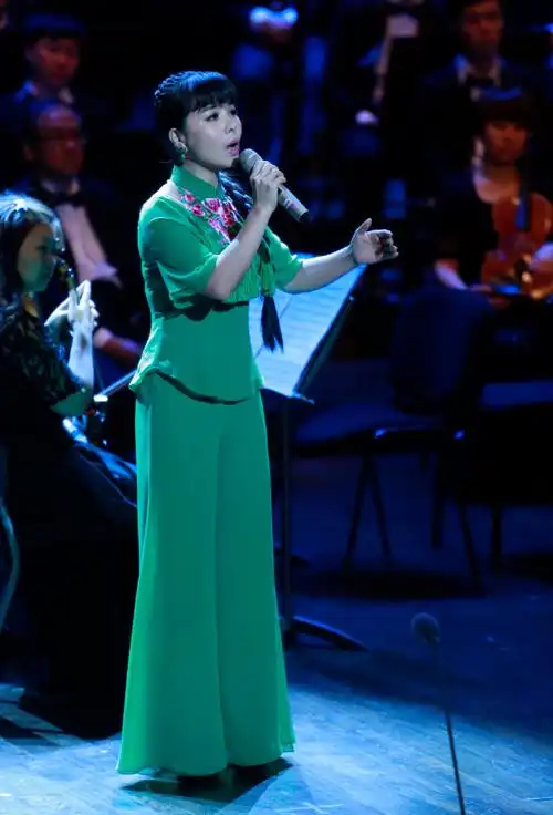 (王二妮演唱《我从西边来》《山丹丹花开红艳艳》《走西口》)