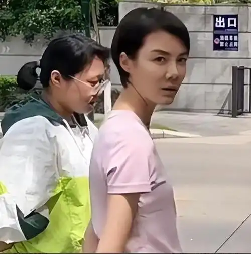 43岁车晓近照流出,鼻孔朝天被指似猪鼻!曾被成龙做媒嫁给富商