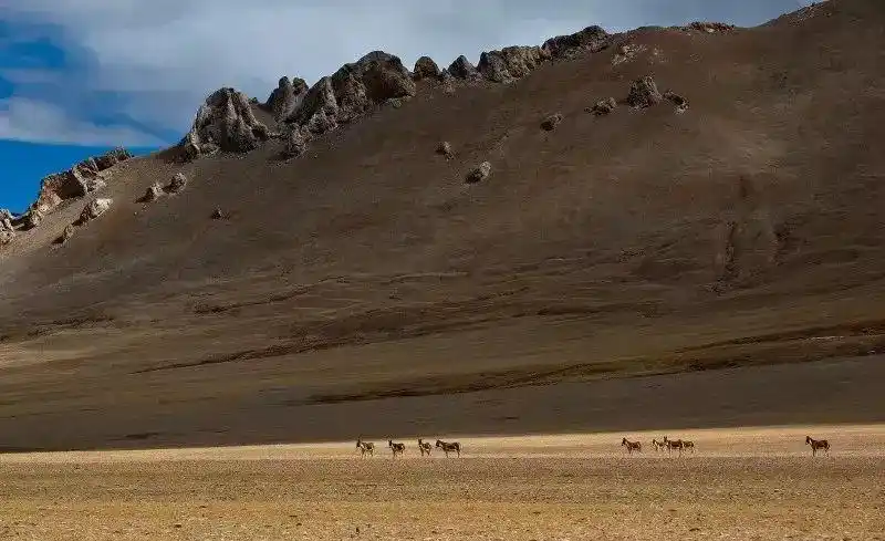 无人区的美可远观不可亵玩