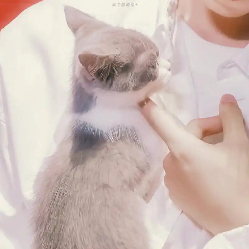 王俊凯系列情头合集甜甜蜜蜜好可爱