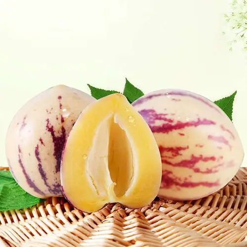 绿森活 云南石林 人生果 七彩果 新鲜水果 美味多汁 掌柜推荐